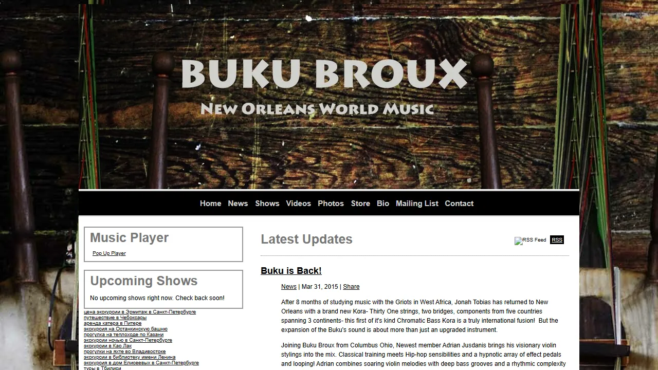Homepage of the musician site site we built