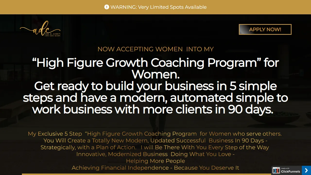 Homepage of the business coaching programme site we built