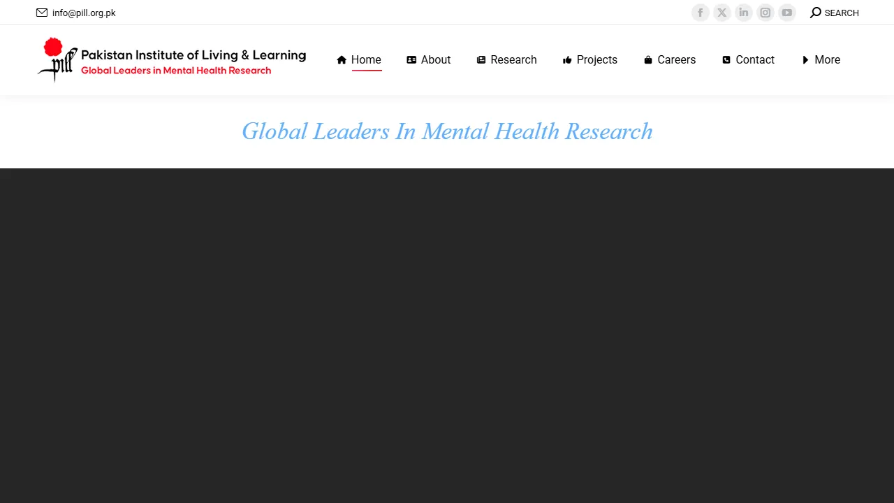 Homepage of the research institute site we built