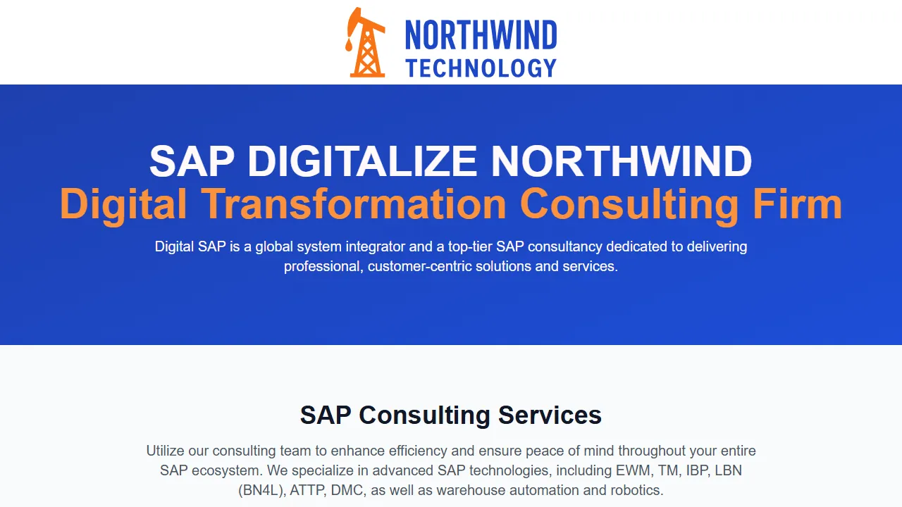 Homepage of the sap consultancy site we built